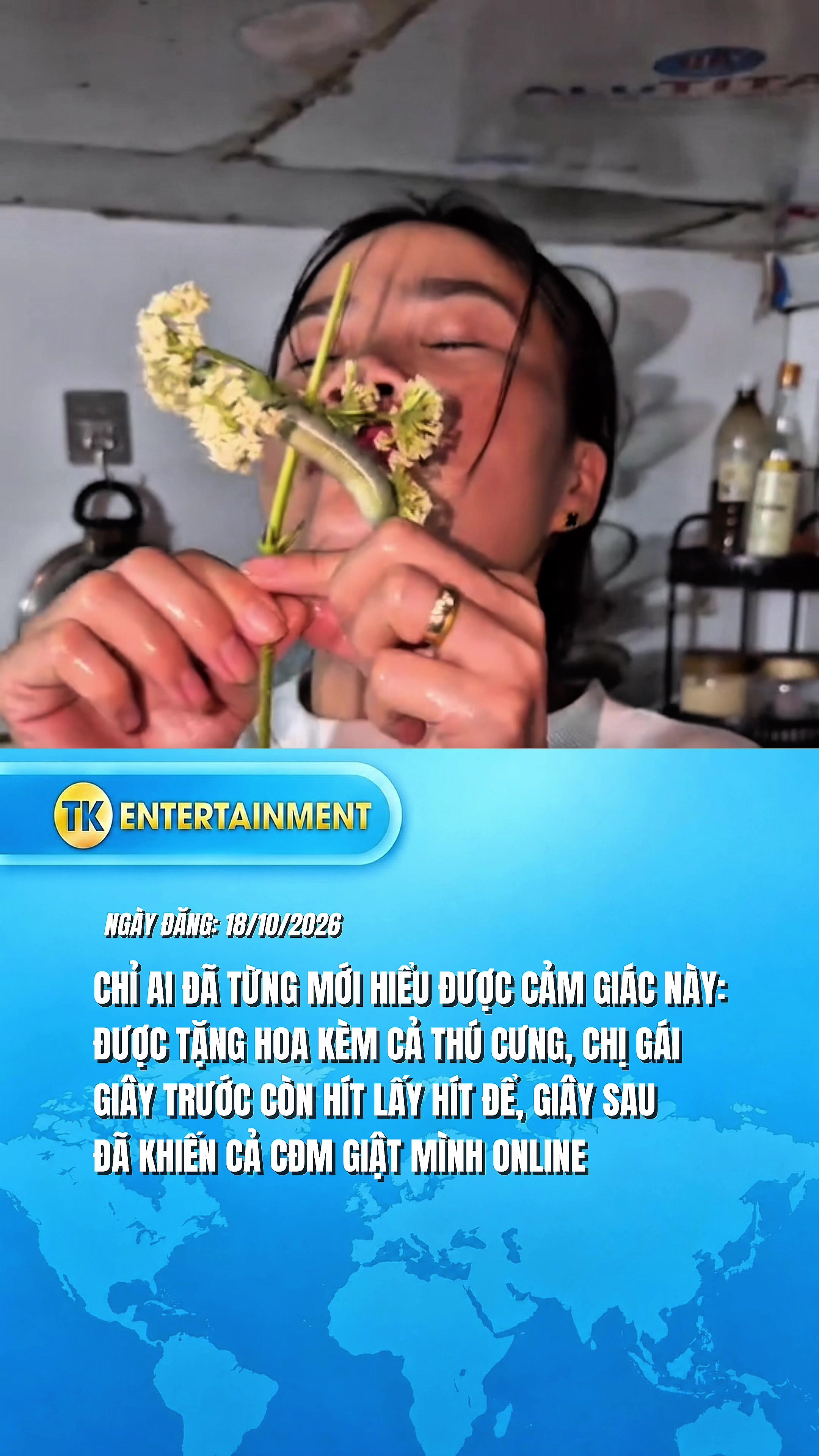 @TK Entertainment