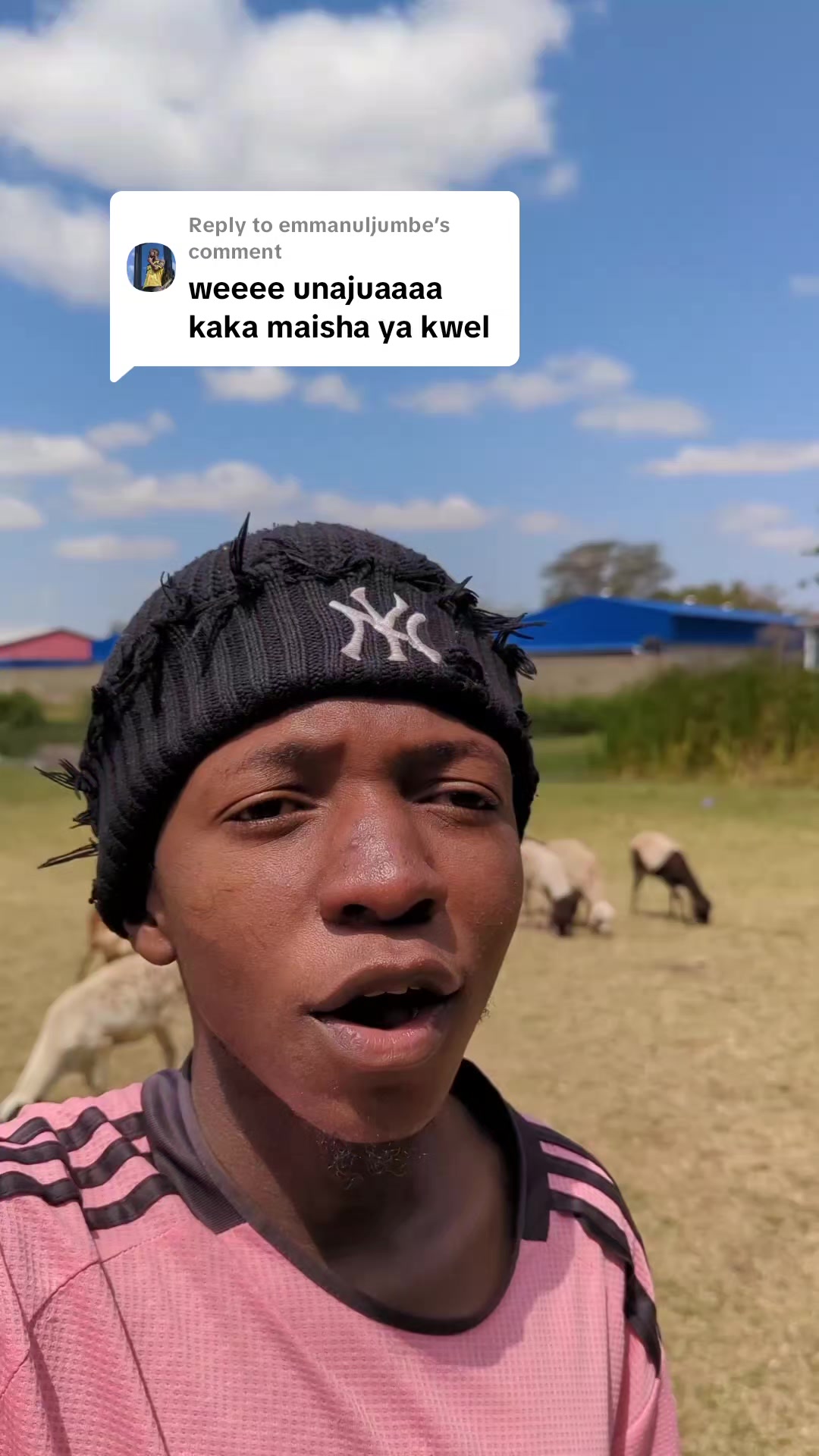 @📝🇹🇿