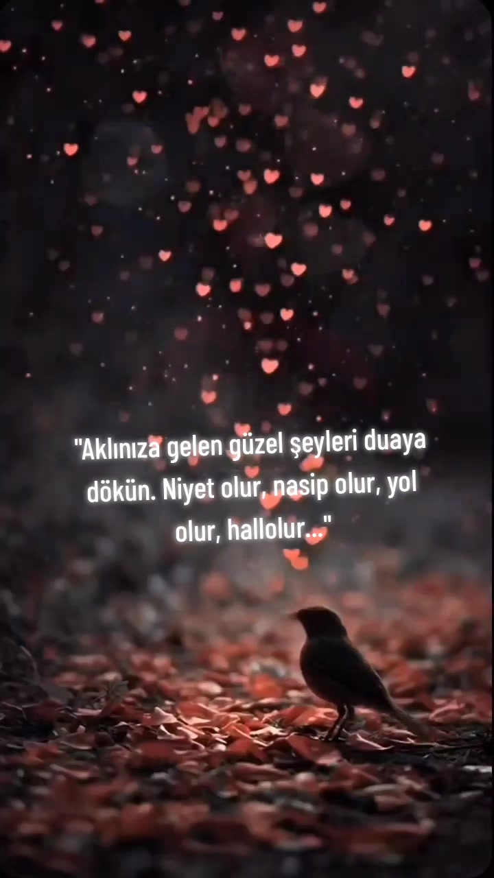 @Hasret rüzgarları🥀