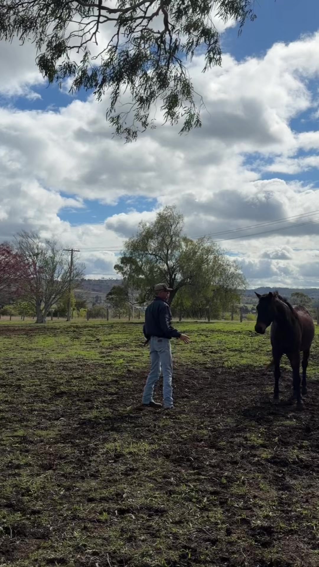 @KimDaleyhorsemanship
