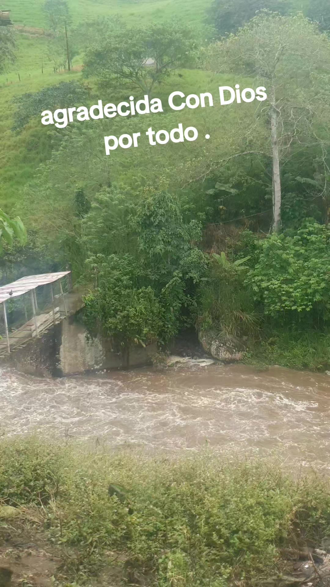 @lady