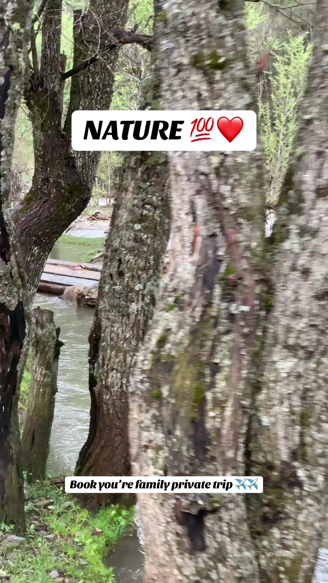 @Kashmir Diary 🍁
