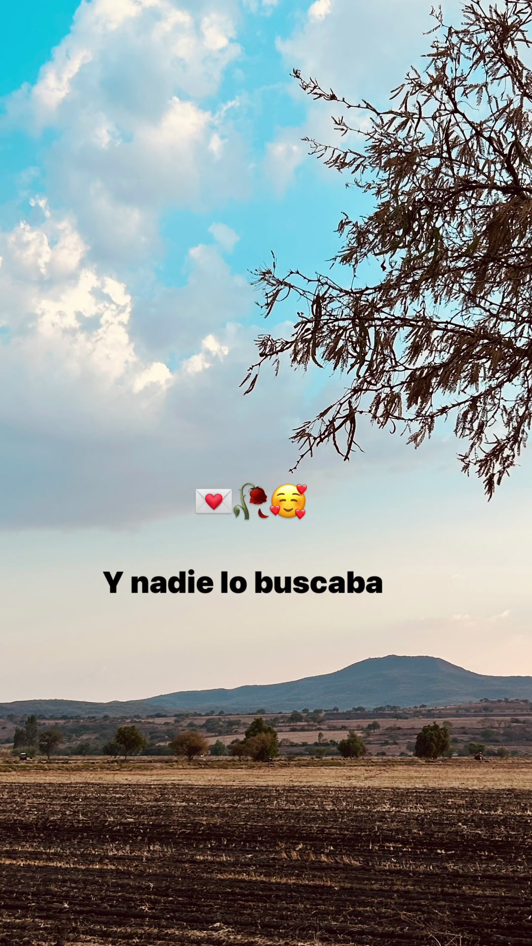 @lcia_65