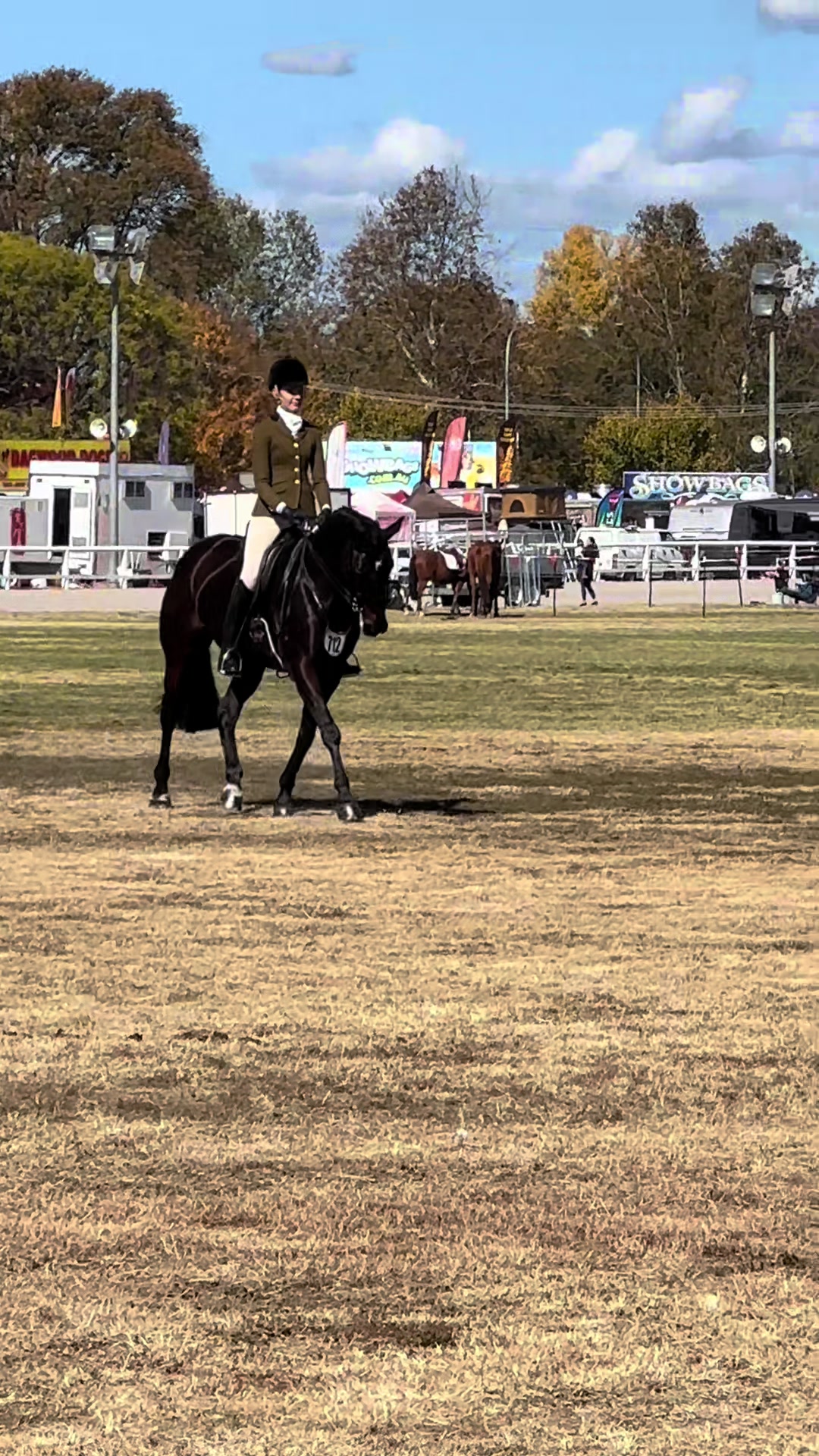 @AR show horses