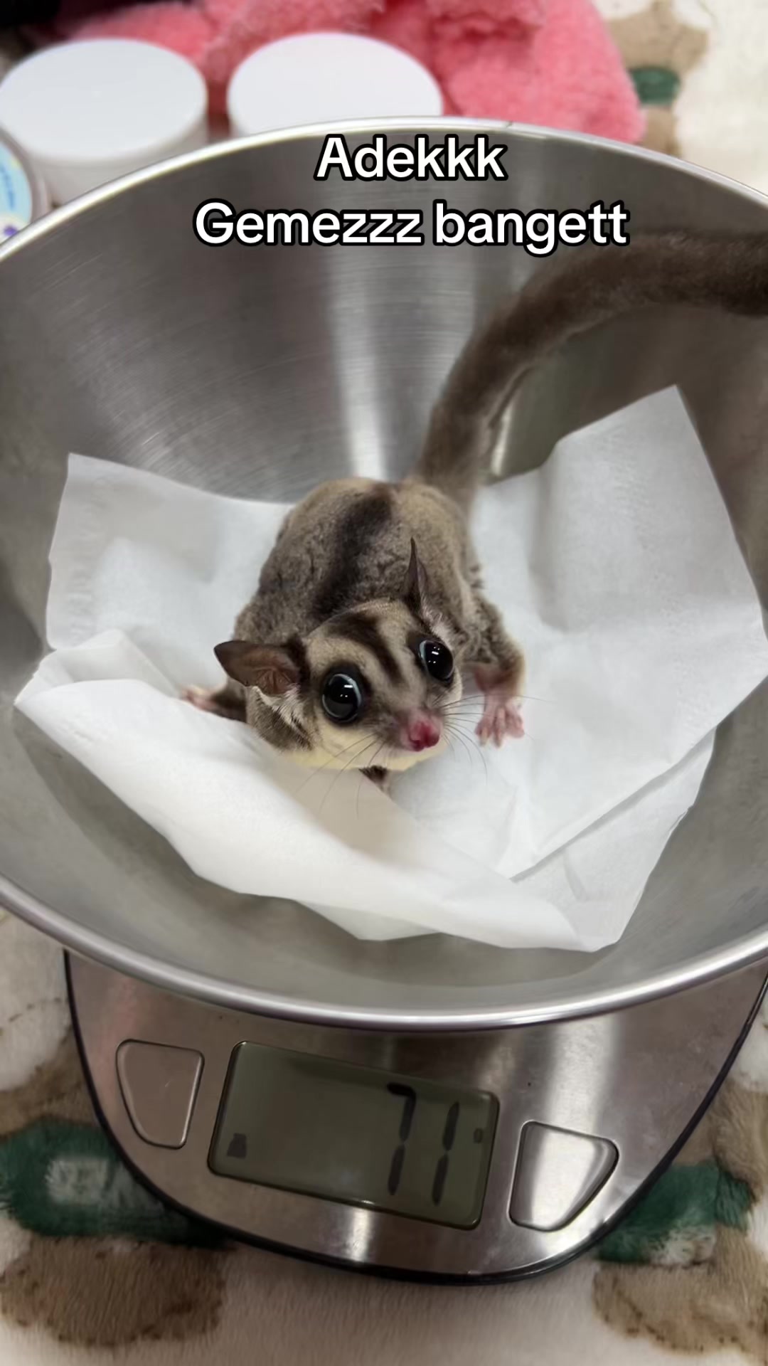 @jesugarglider.id1