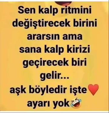 @BİR SERÇENİN GÖZYAŞ🕊️🕊️🕊️