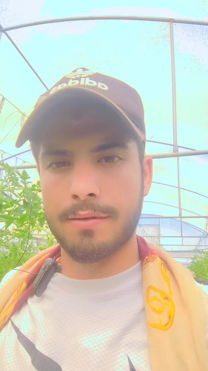 @Memo Akdağ 🌹🫀