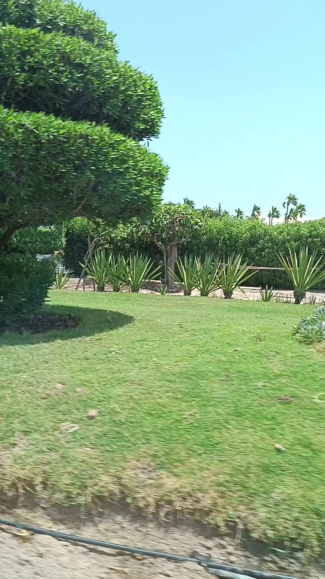 @❤নড়াইল🇰🇼Kuwait🌾🌾🌾
