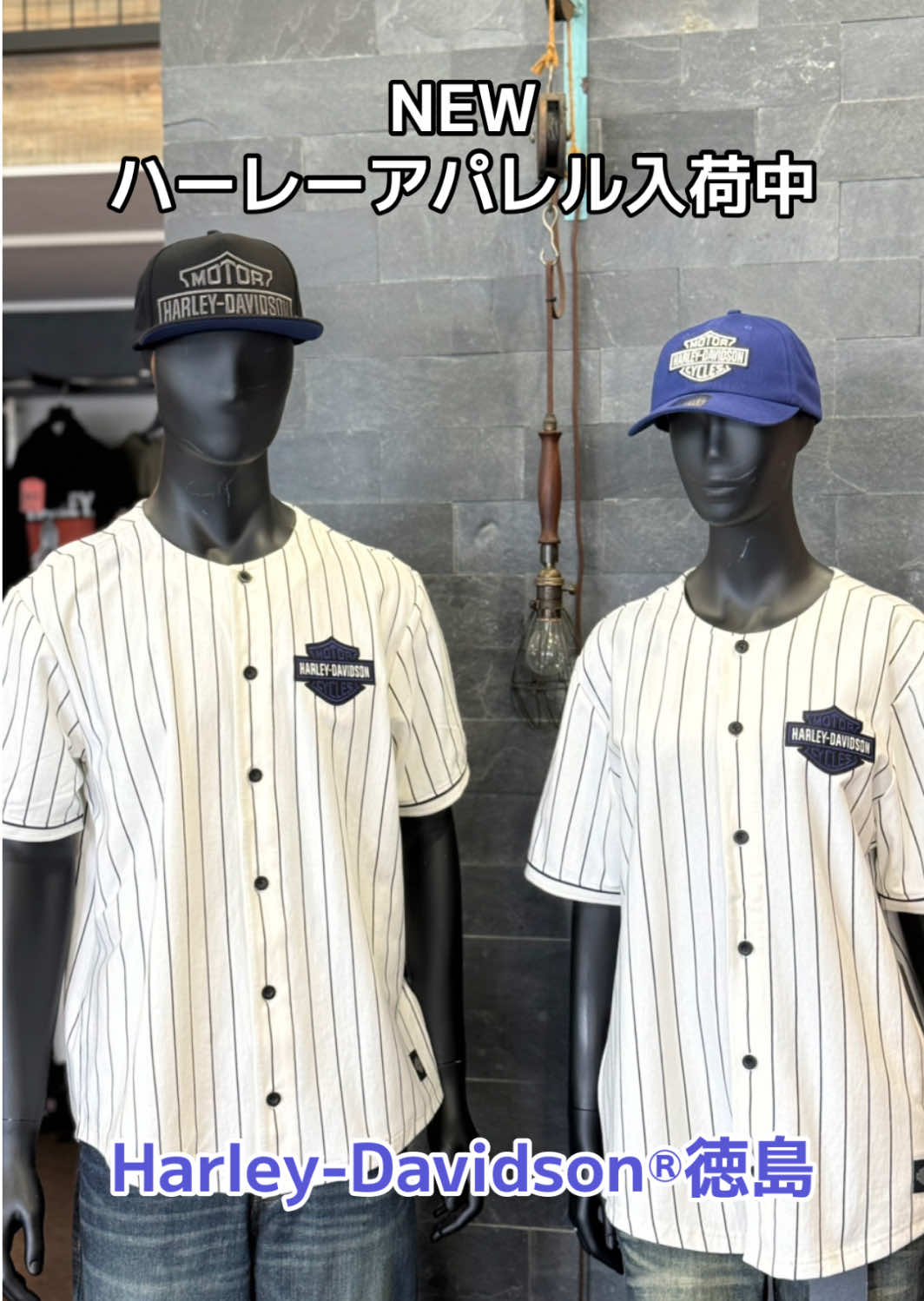 @ハーレーダビッドソン徳島