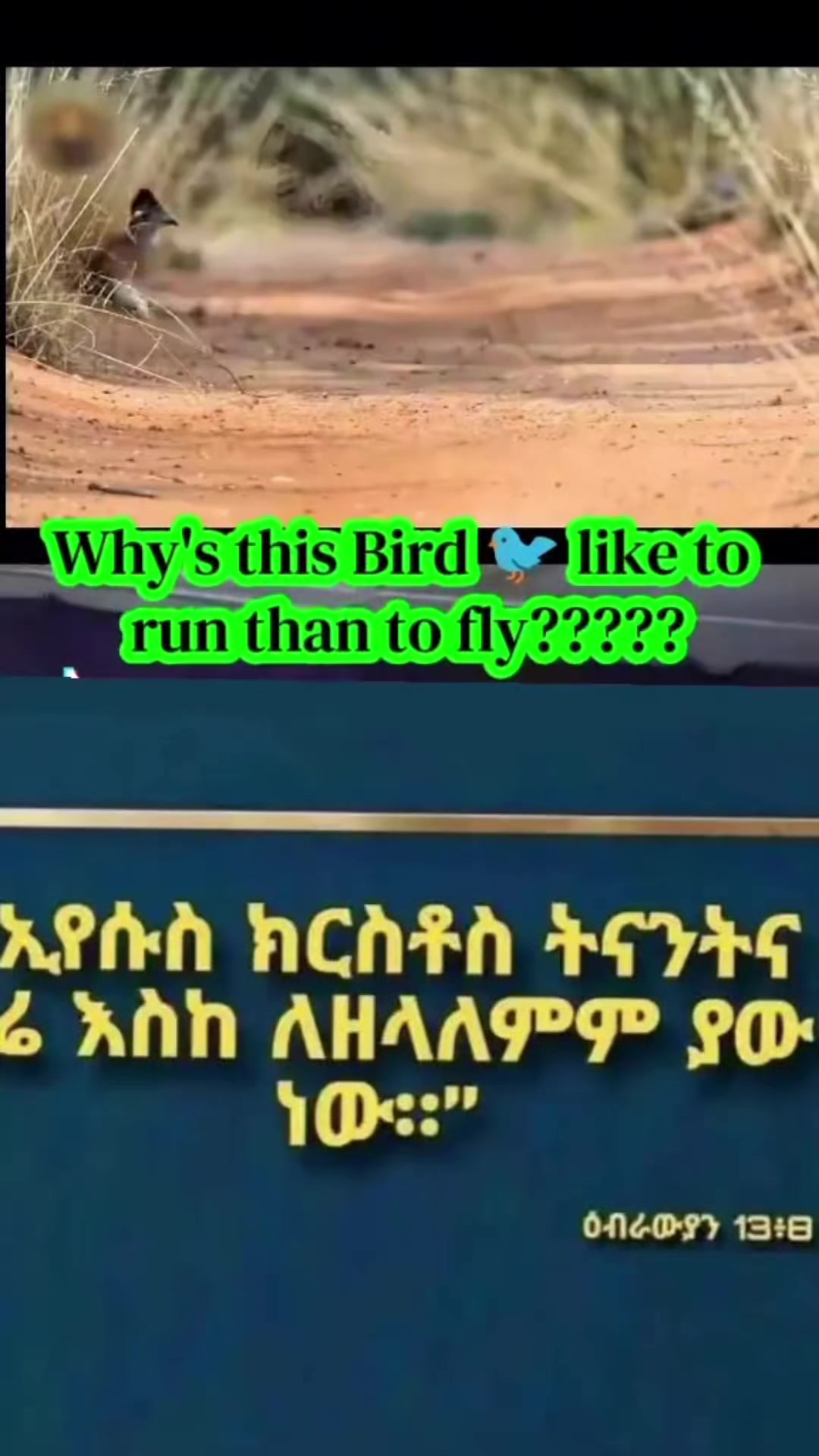 @A&H❤️A🇪🇹💔🇰🇼💯💯❤️&zwj;🩹❤️&zwj;🩹