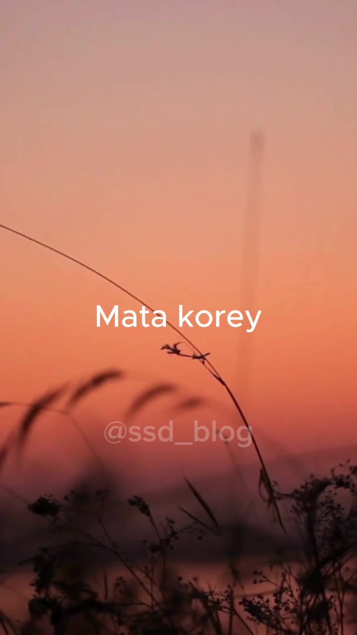 @South Sudanese Blog