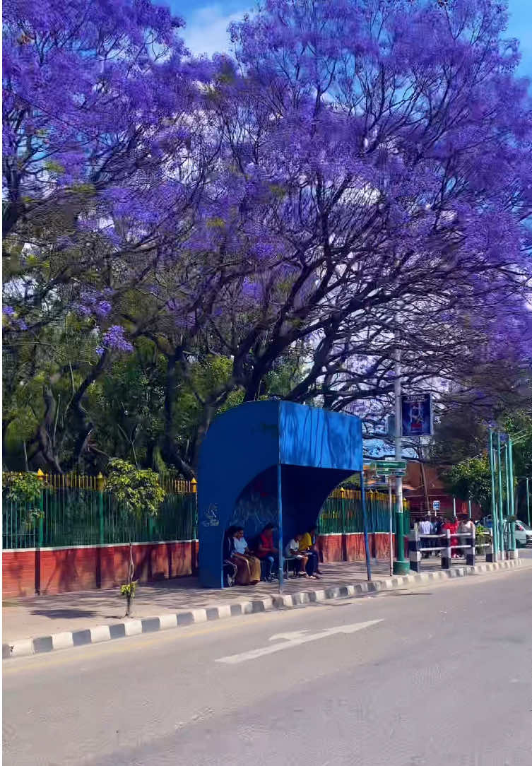 @ganeshexplore