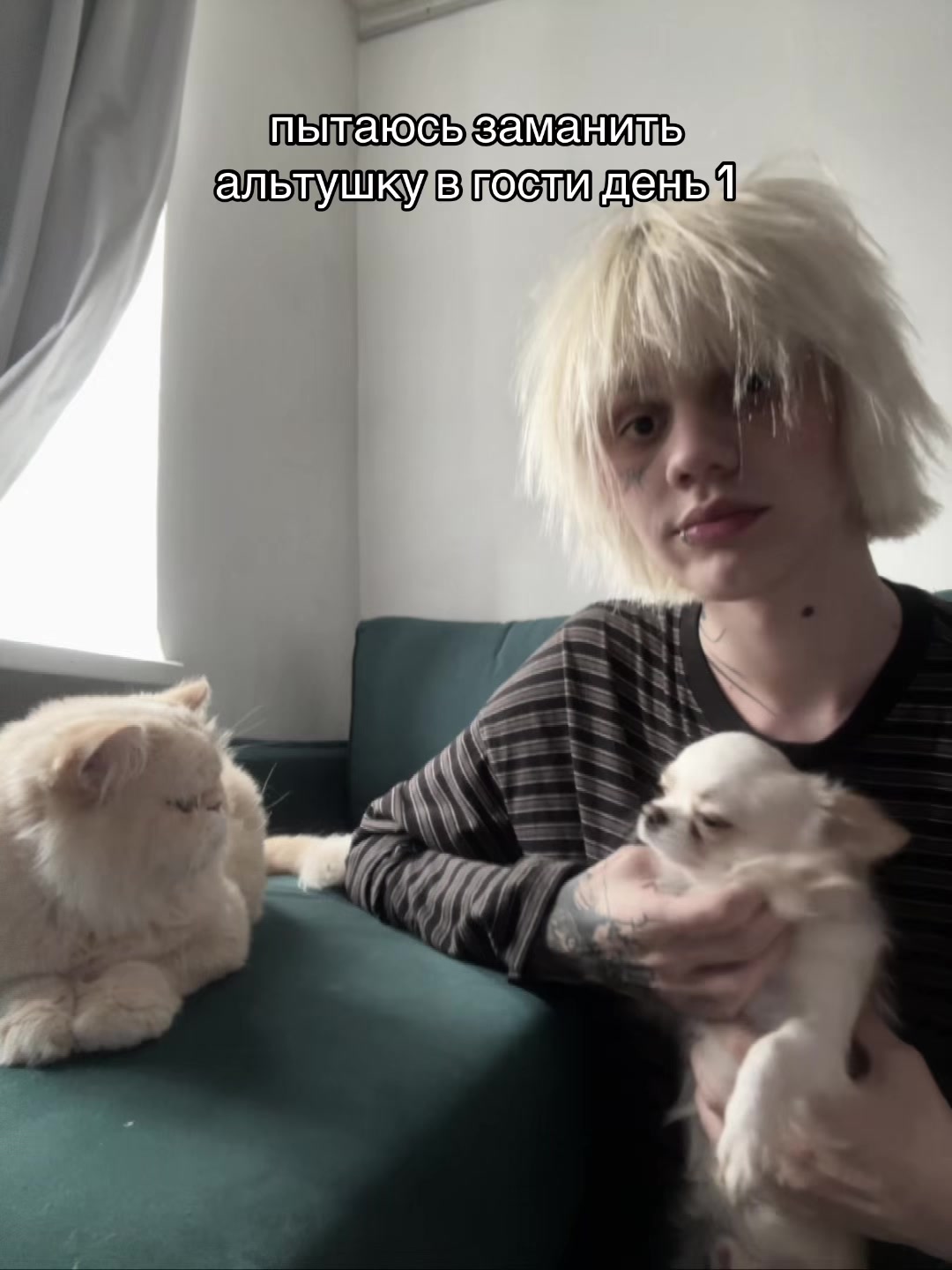 @Матвей Мизомания