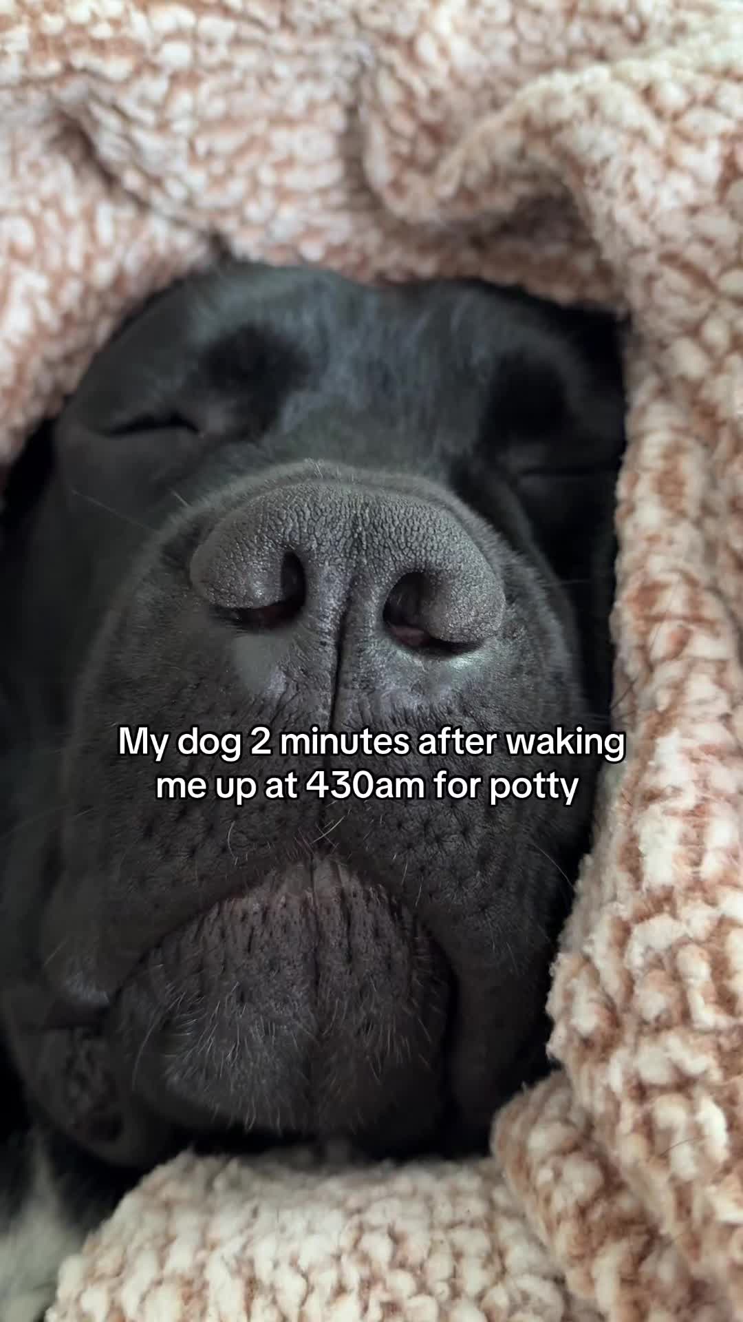 @Bentley Has Issues