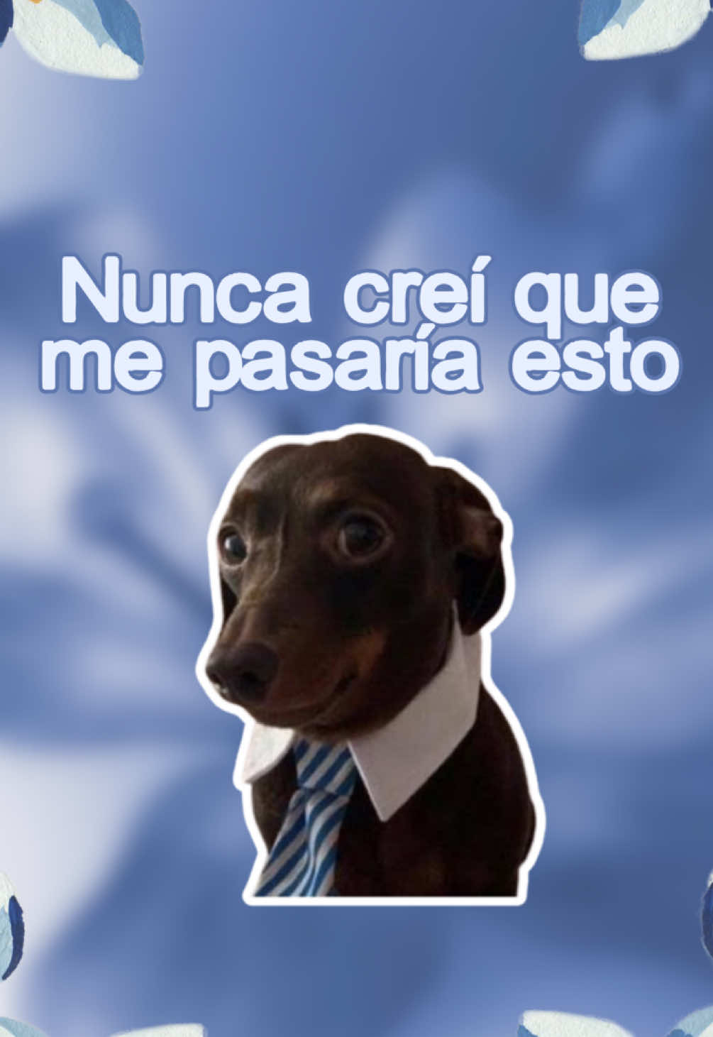 @Ann✨