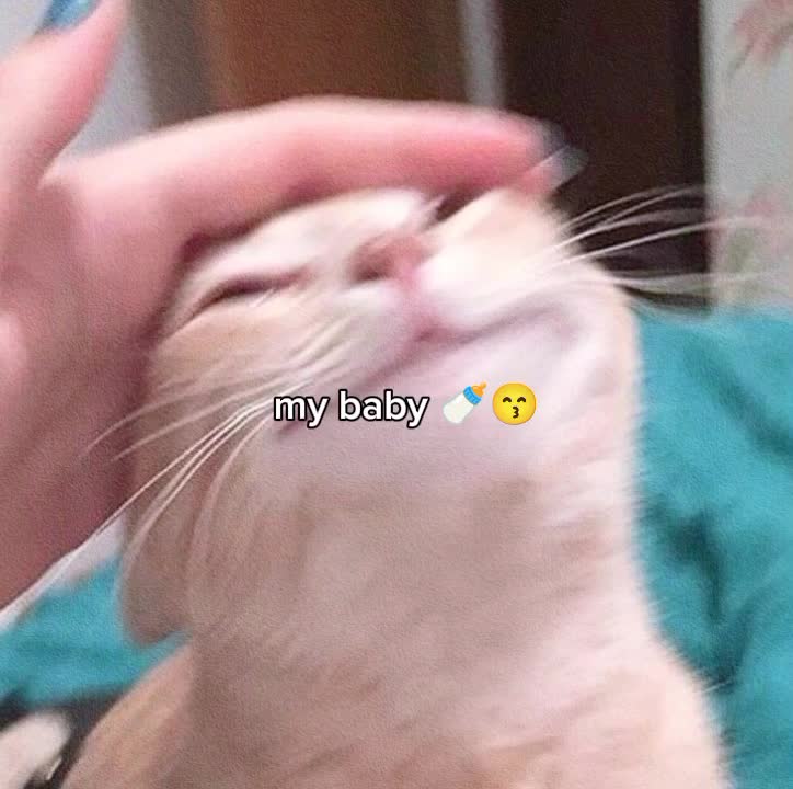 @tyca