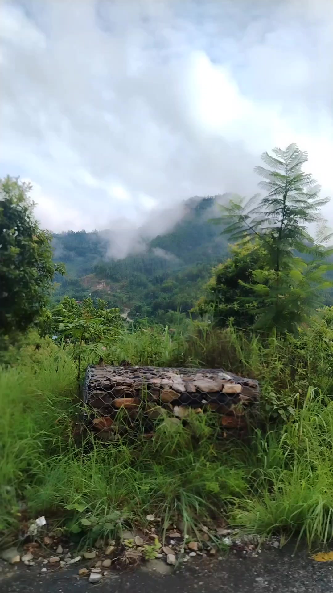 @D.B. Karki