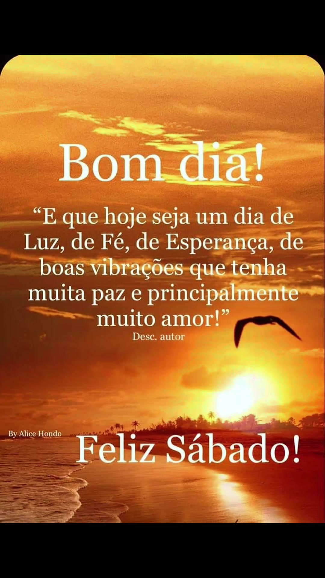 @Opoetabeijaflor