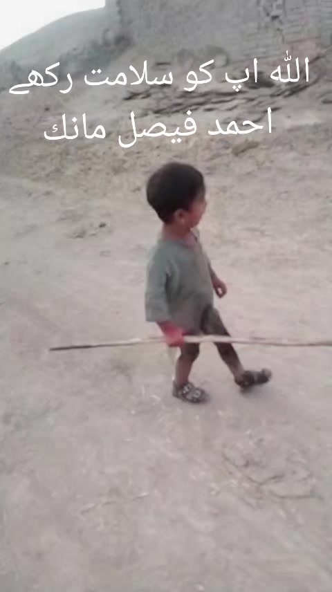 @Malik Sajid