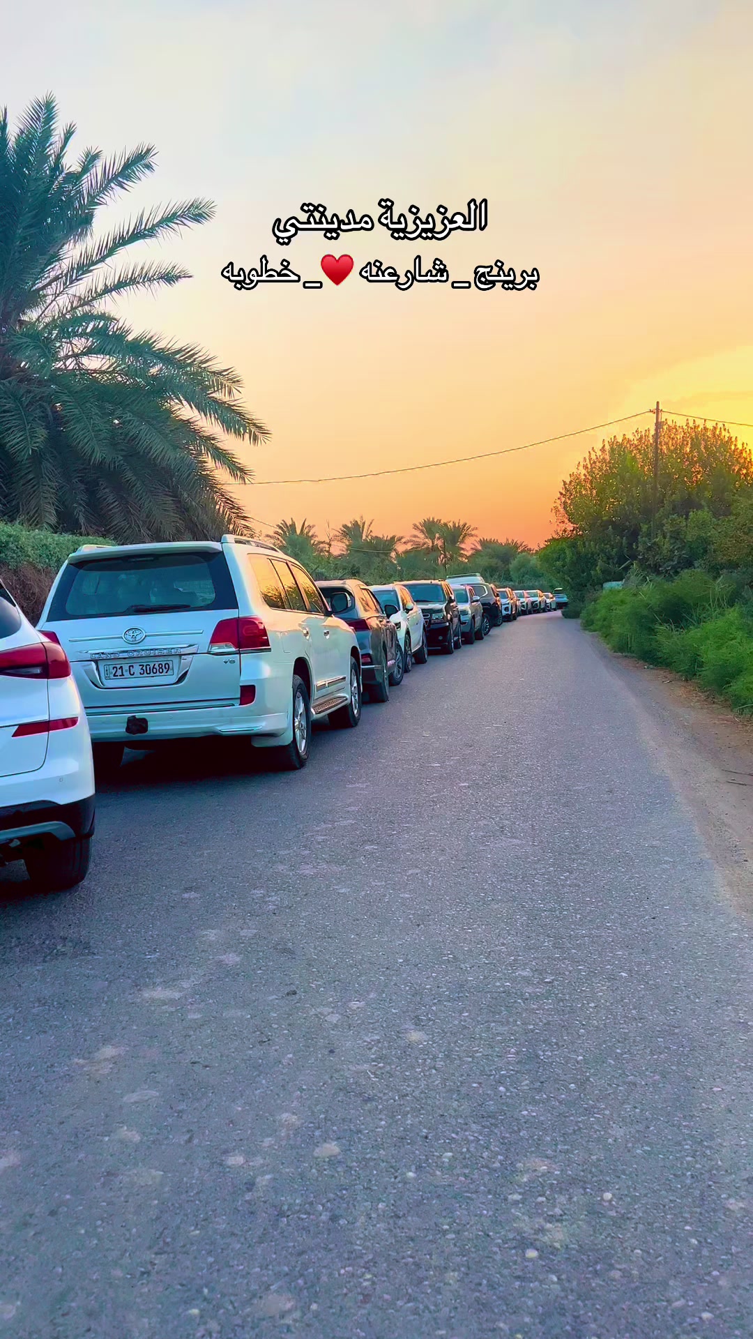 @زاهر علي