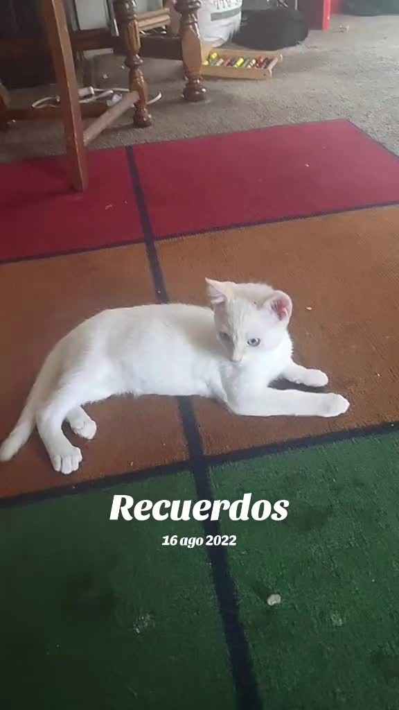 @Amor de dios