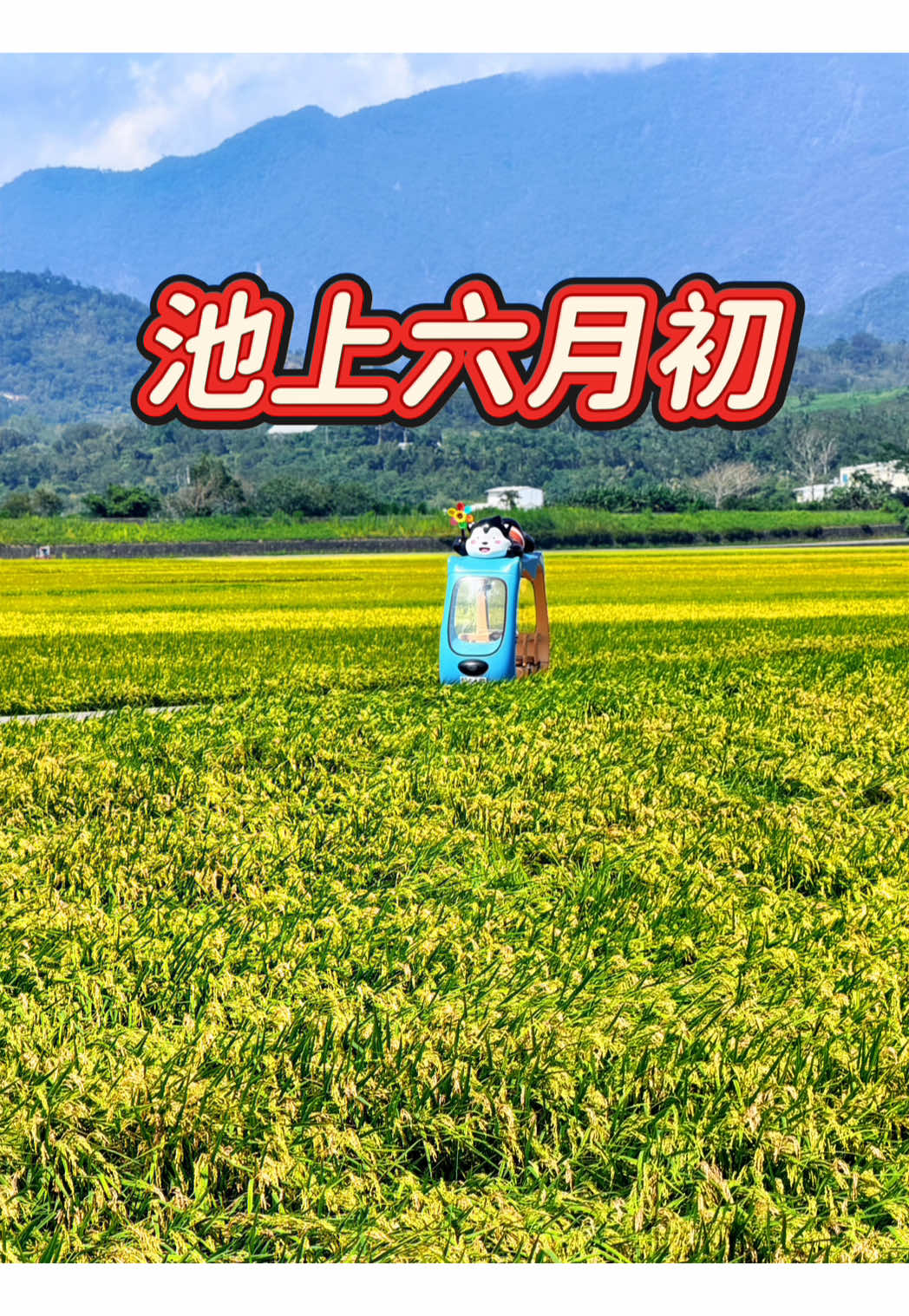 @美娴(華鼎自行車出租店)