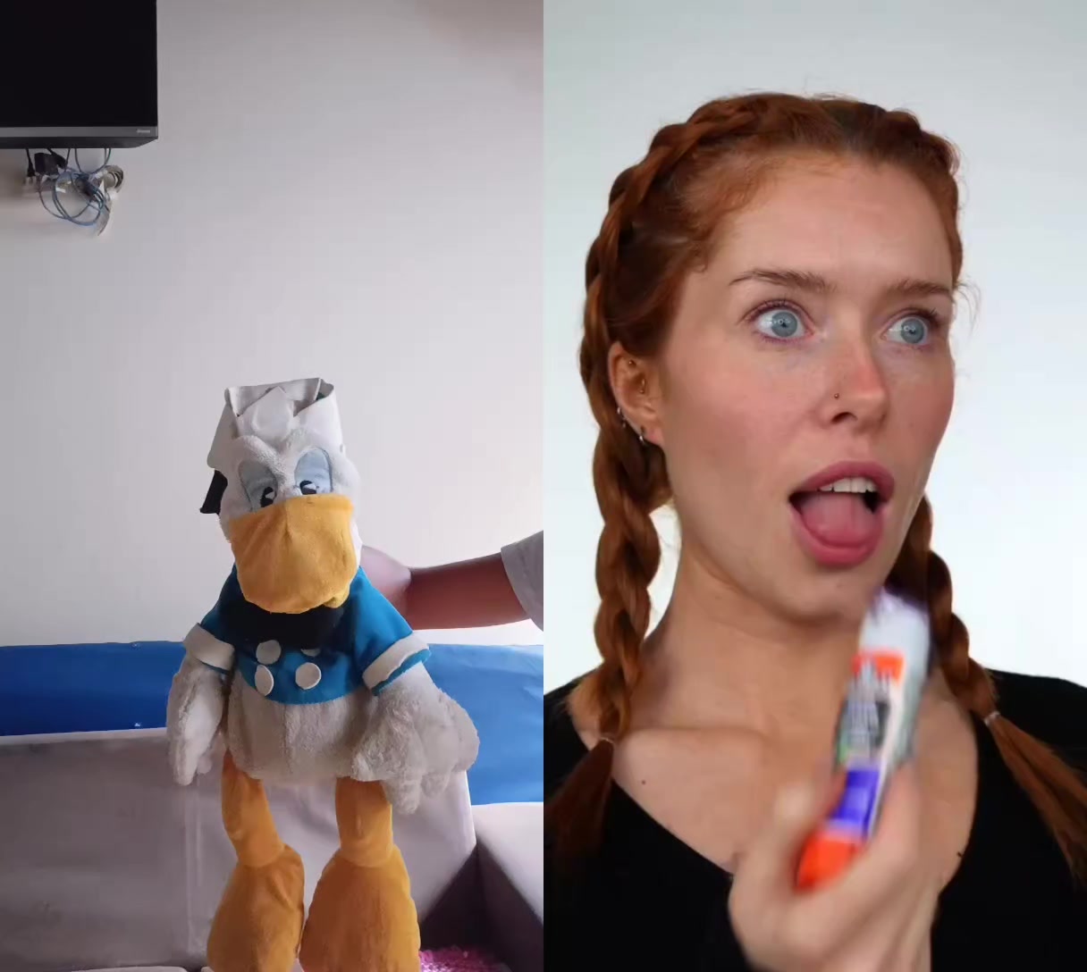 @donald duck mickey Goofy
