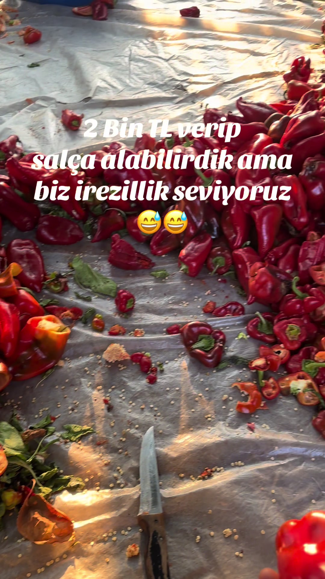 @Şerife 🍀