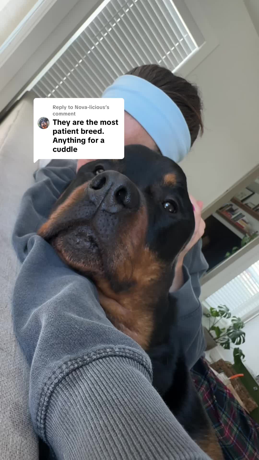 @Moose The Rottie