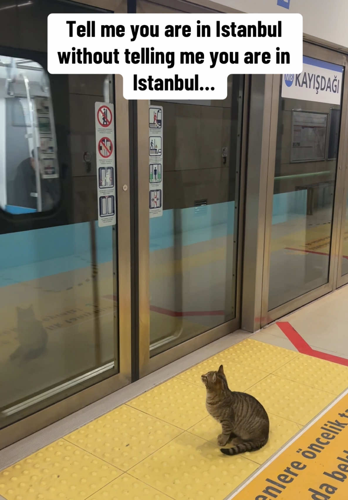 @you.in.istanbul