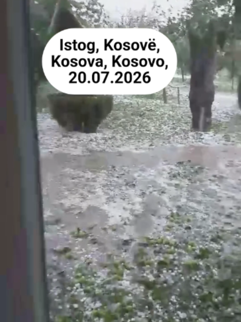 @Tetova News