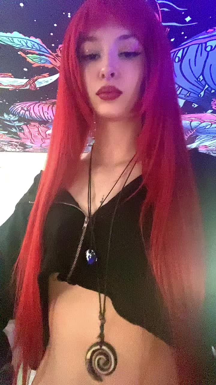 @avi