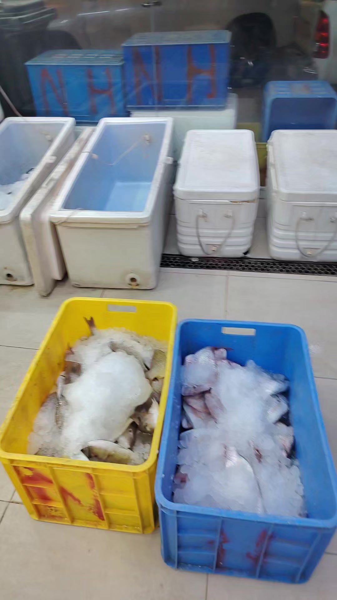 @لاين بحري