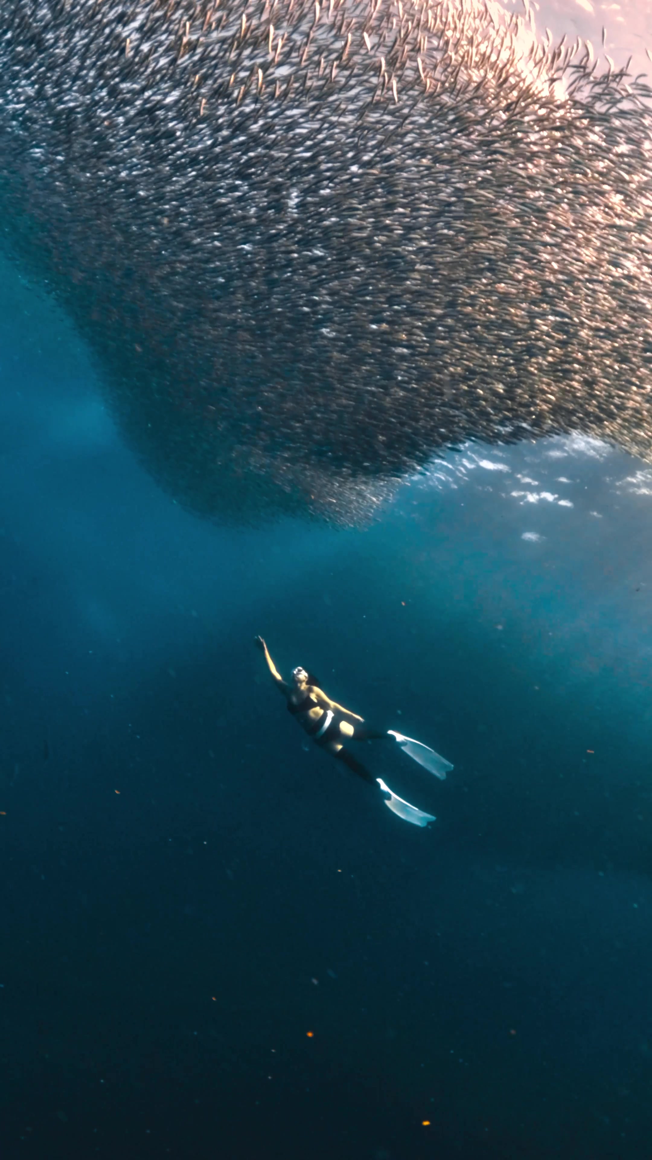 @divewith_eyJ