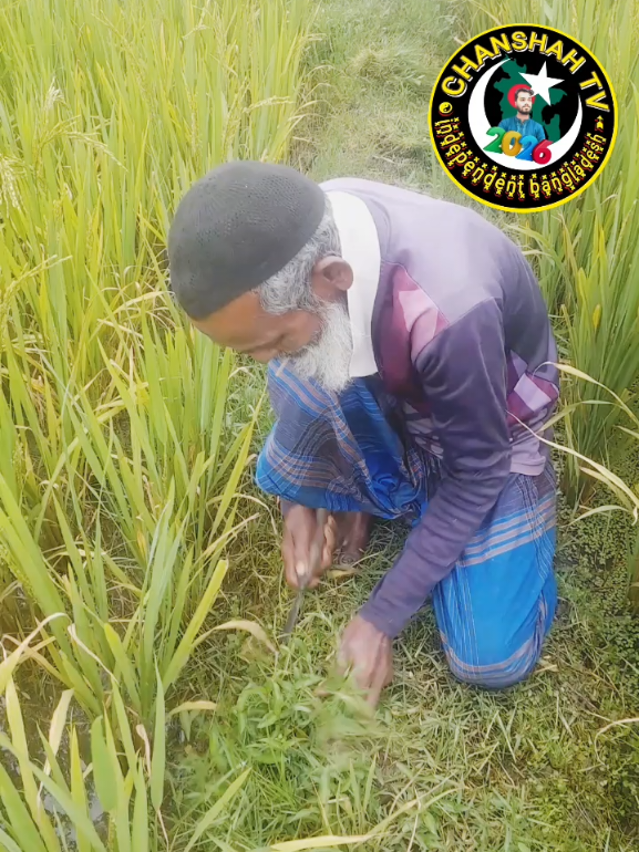 @চাঁনশাহ টিভি
