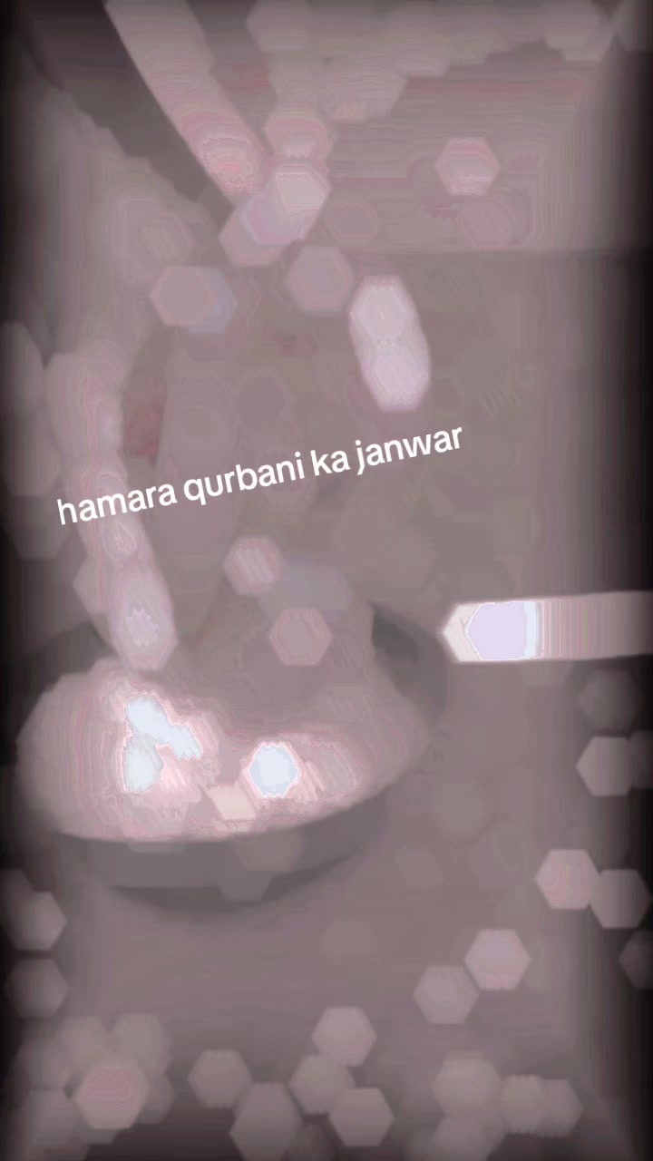 @khizar Khan