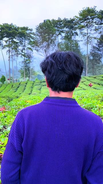 @albeehabibie