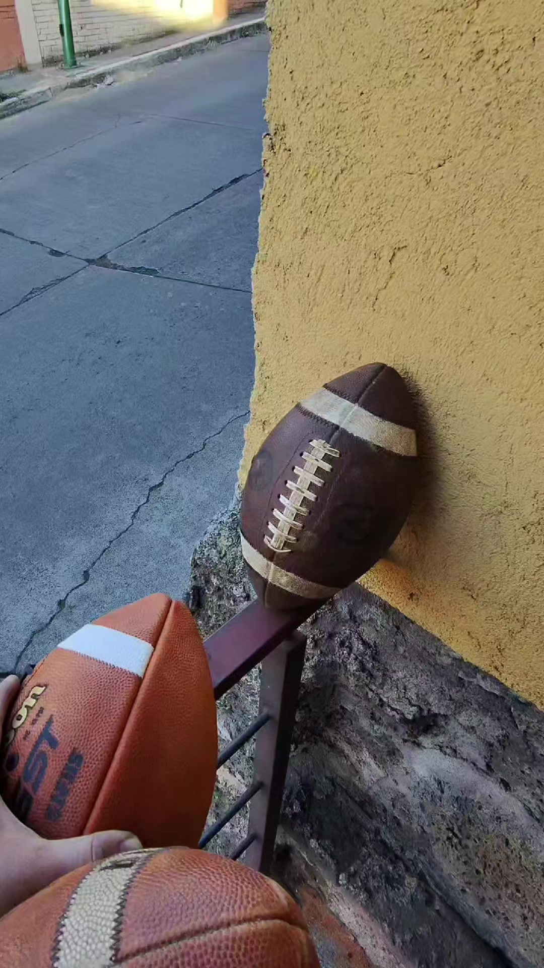 @Eduardo L. Guízar