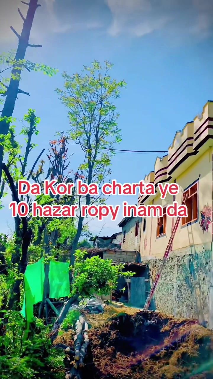 @Mehran Rangsaz 1