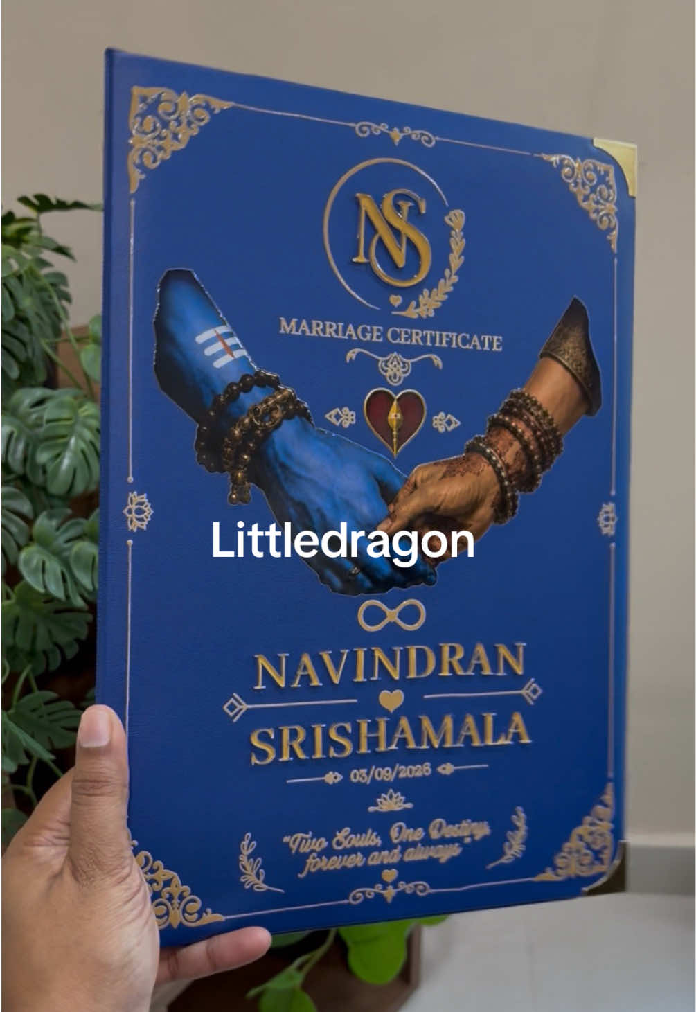 @Little dragon