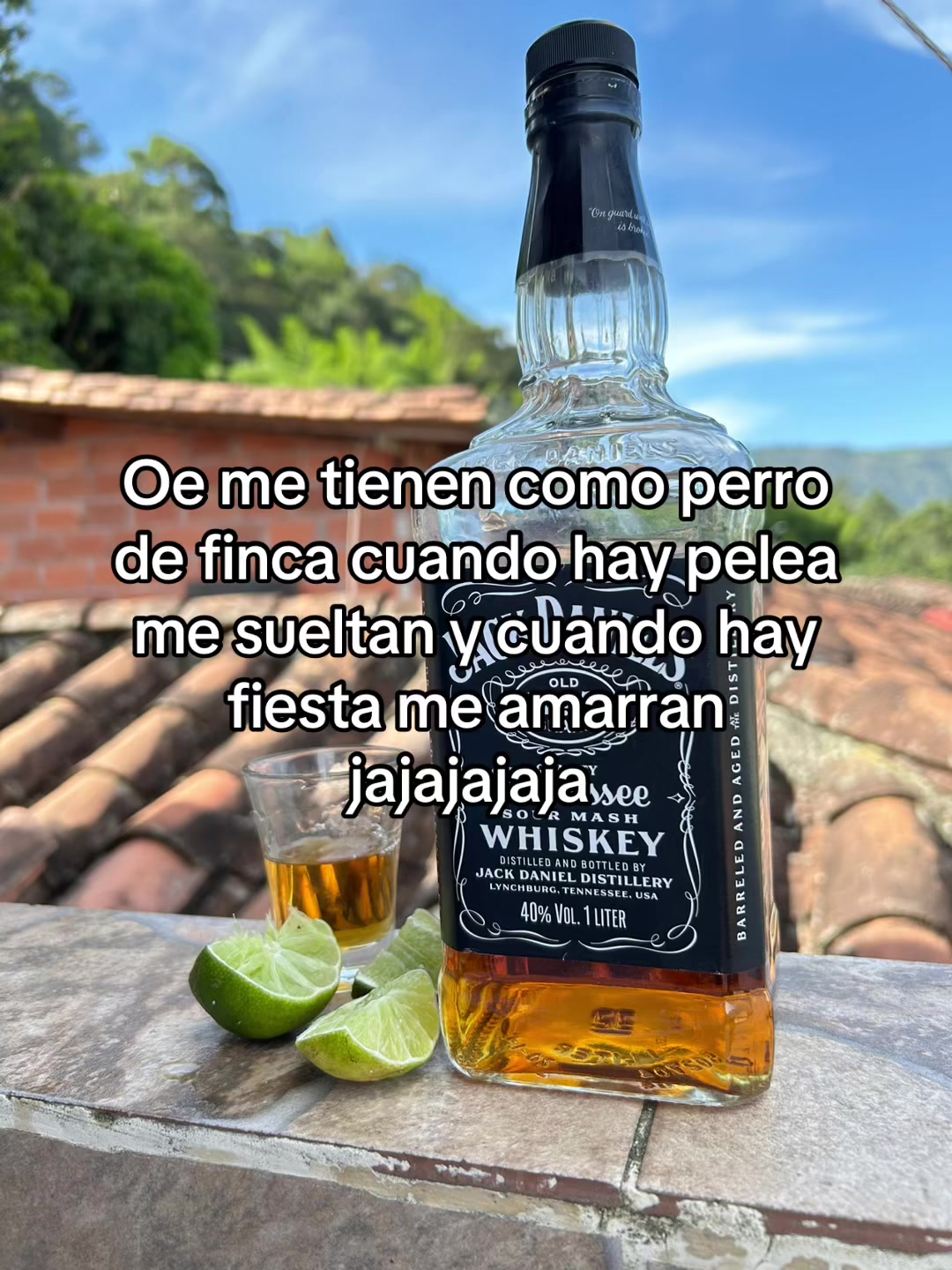 @Juliana Gutierrez
