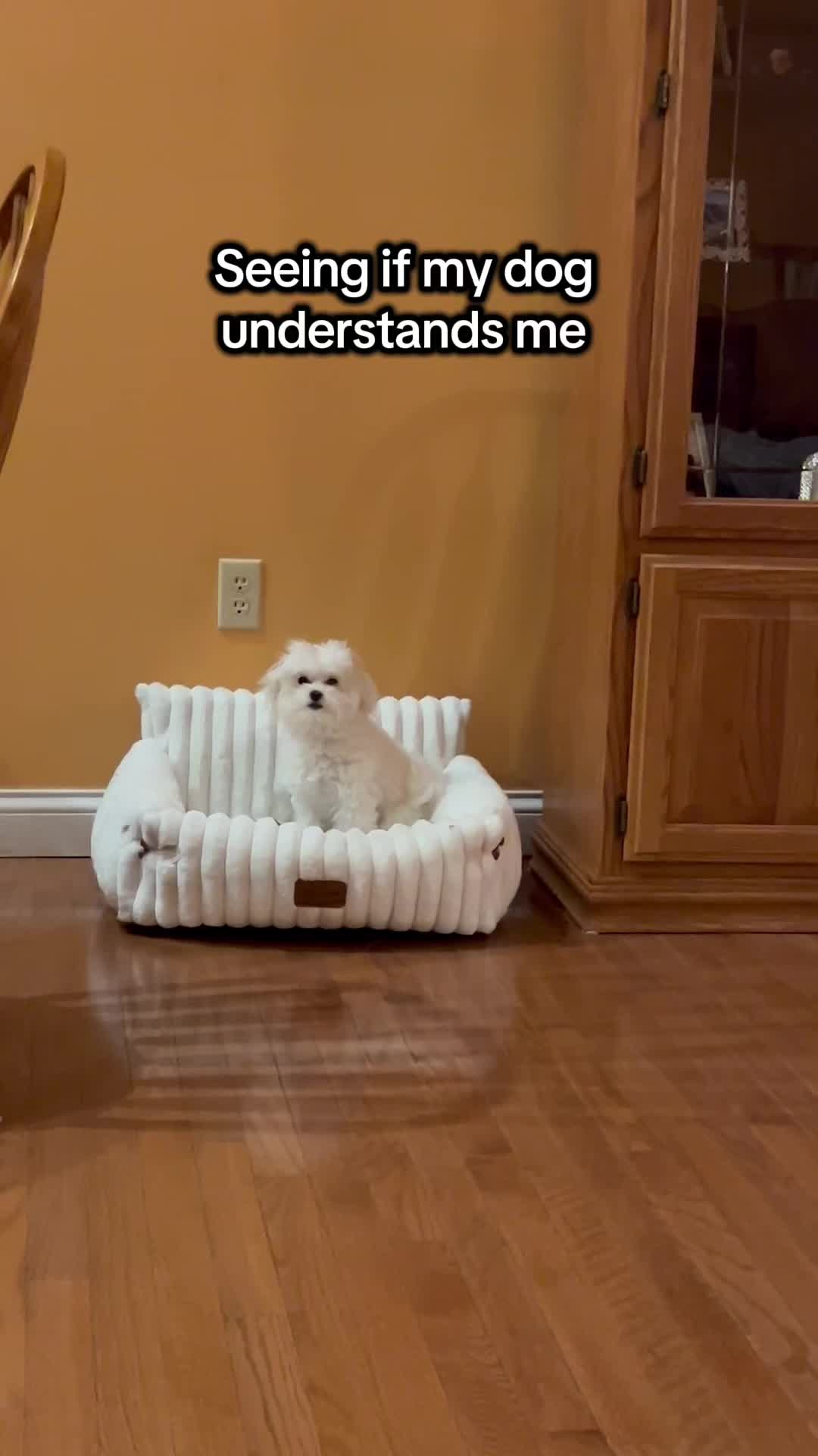 @Life with Leia