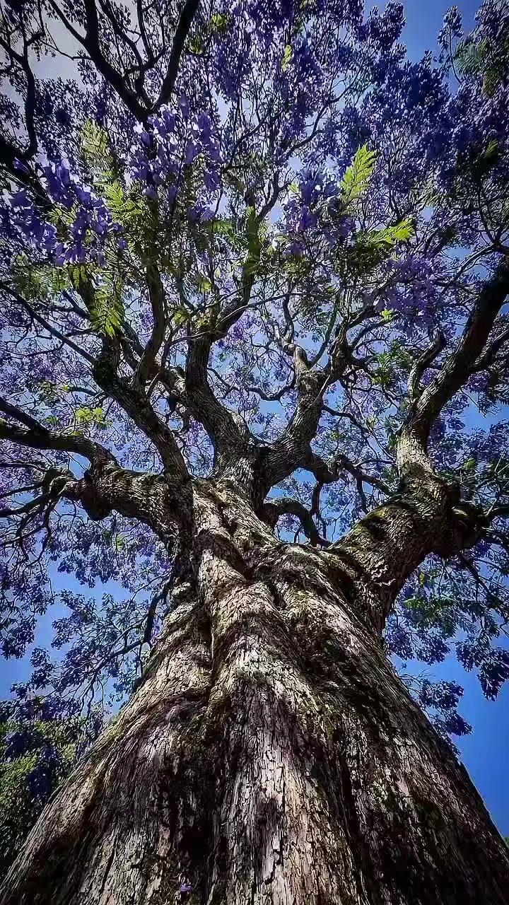 @khanayaz34