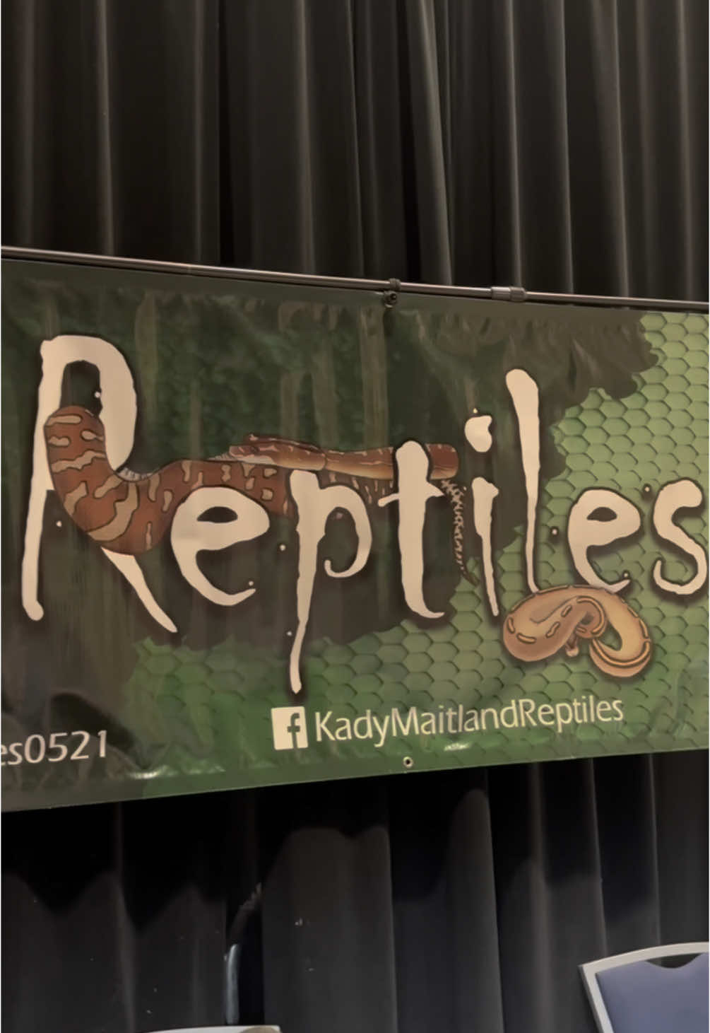 @KMReptiles