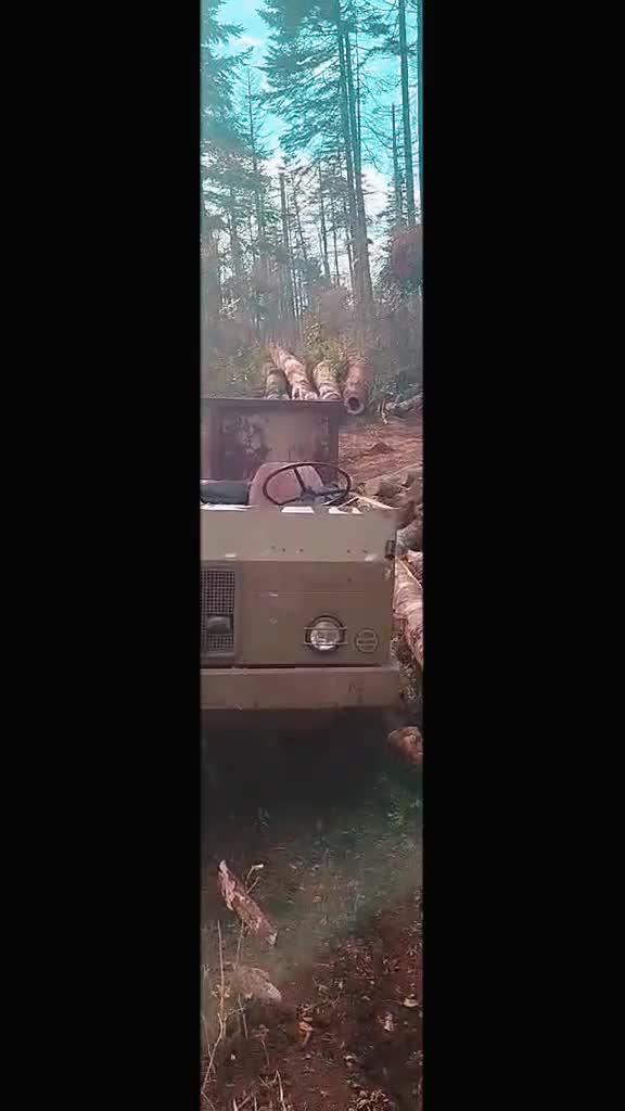 @sumska mafija