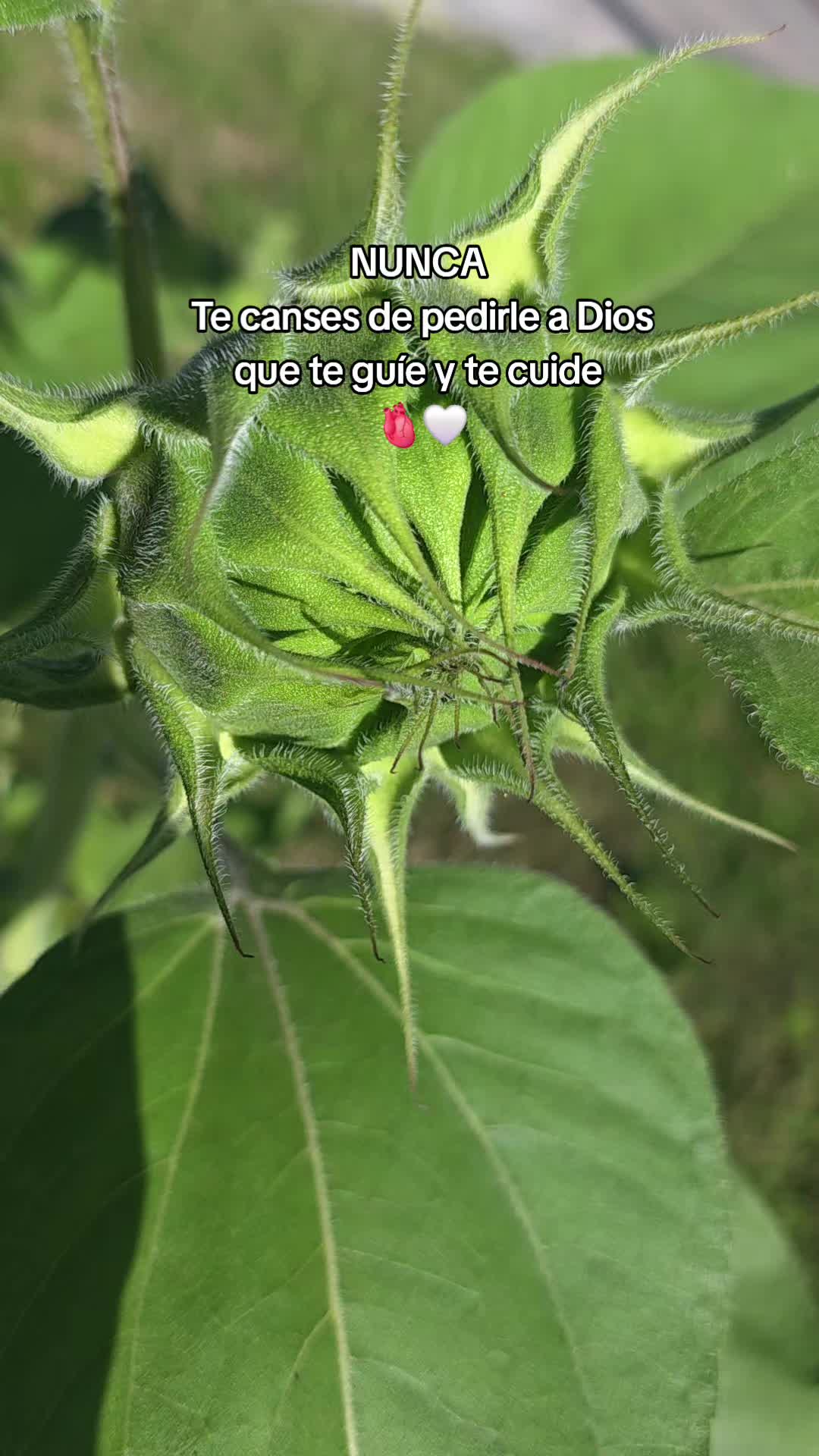 @𝙇𝙪𝙞𝙞502👨🌾
