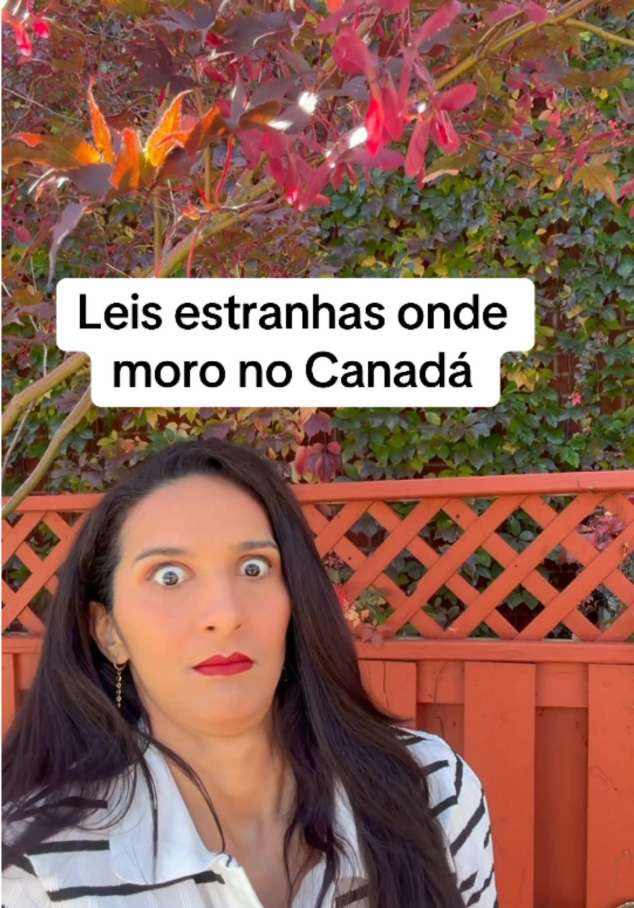 @Farofa de Maple