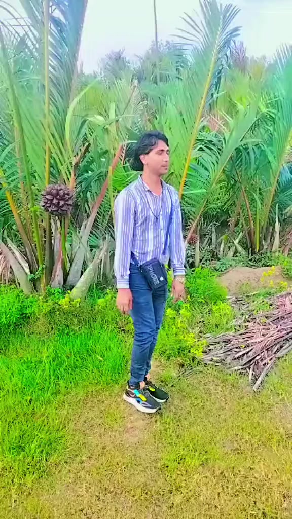 @এম এম ফরিদি6740