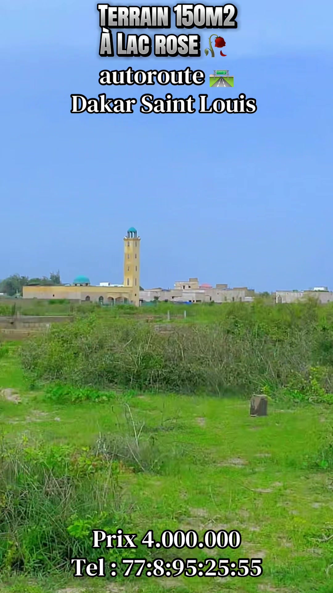 @Sénégal dakar habitat 🇸🇳