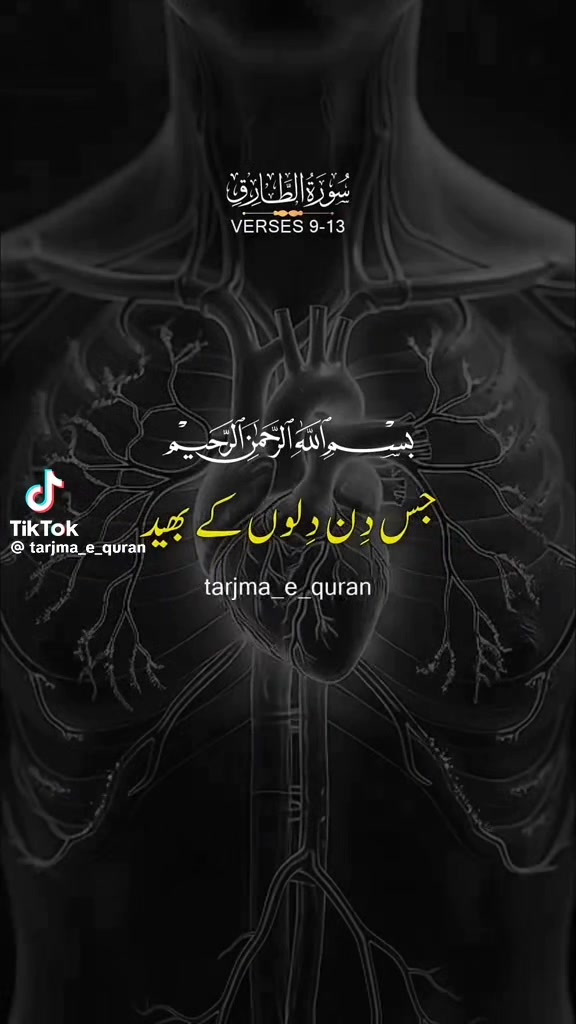 @Fatima queen786